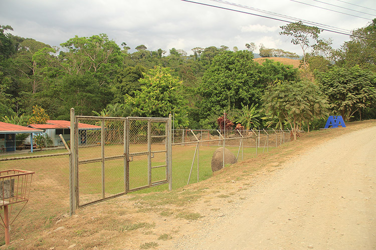 photo of nearby school